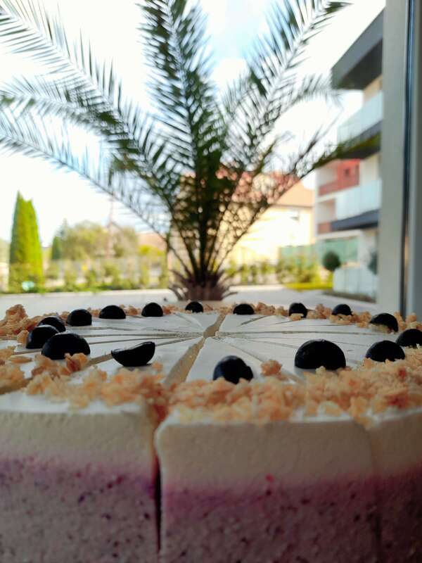 yogurt cake on the terrace of the bistro, with a palm tree in the background
